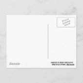 オレンジキクハッピーバースデー ポストカード (裏面)