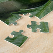 オレンジキク写真撮影，カナダ美しい ジグソーパズル (側面)