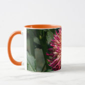 オレンジキク写真撮影，カナダ美しい マグカップ (左)