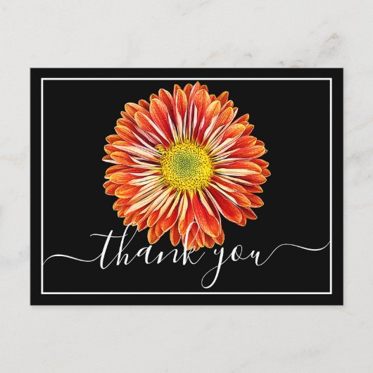 オレンジキク黒背景ありがとう ポストカード (正面)