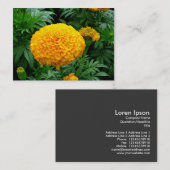 オレンジキク 名刺 (正面/裏面)