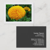 オレンジキク 名刺 (正面/裏面)