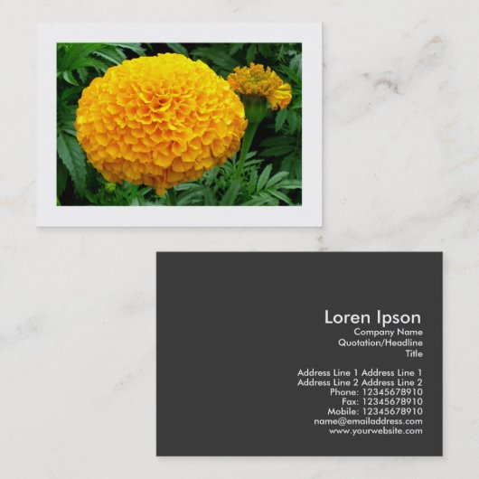 オレンジキク 名刺 (正面/裏面)