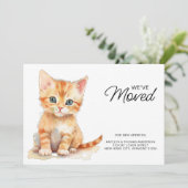 オレンジキッテンキャットモーニングニューホーム引っ越しました 案内状 (スタンド正面)