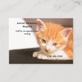 オレンジキッテンペットケアアポイントメント 名刺 (正面)