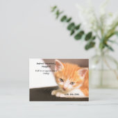 オレンジキッテンペットケアアポイントメント 名刺 (スタンド正面)