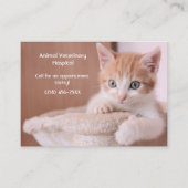 オレンジキッテンペットケアアポイントメント 名刺 (正面)