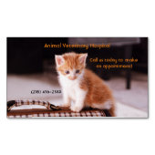 オレンジキッテンペットケアサービスアポイントメント マグネット名刺 (正面)