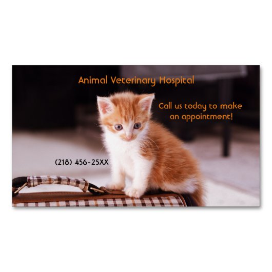 オレンジキッテンペットケアサービスアポイントメント マグネット名刺 (正面)