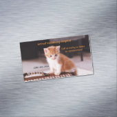 オレンジキッテンペットケアサービスアポイントメント マグネット名刺 (インサイチュ)