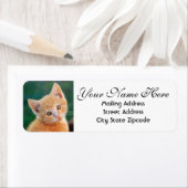 オレンジキッテン差出人住所 ラベル (インサイチュ)