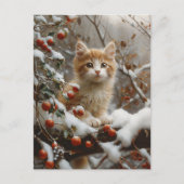 オレンジキャットウィンターベリーヴィンテージ ポストカード (正面)