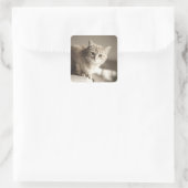 オレンジキャットシール スクエアシール (バッグ)