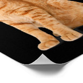 オレンジキャットタブおもしろいキャットパロディ猫好きギフトキット ポスター (角)