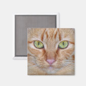 オレンジキャットマグネット マグネット (正面/裏面)