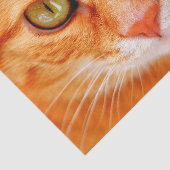 オレンジキャット顔ティッシュペーパー 薄葉紙 (詳細)