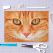 オレンジキャット顔ティッシュペーパー 薄葉紙 (クラフト)