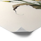 オレンジキャラリリーリリーフラワーアートプリントポスター ポスター (角)