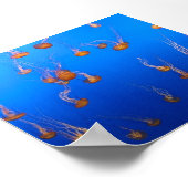 オレンジクラゲのポスター ポスター (角)