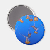 オレンジクラゲ マグネット (正面/裏面)