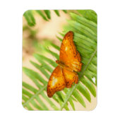 オレンジクラシエ蝶 マグネット (縦)