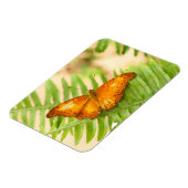 オレンジクラシエ蝶 マグネット (左側)