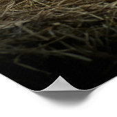 オレンジクリームカウズ ポスター (角)