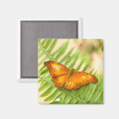 オレンジクルーザーバタフライ マグネット (正面/裏面)