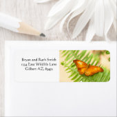 オレンジクルーザーバタフライ ラベル (インサイチュ)