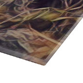 オレンジグアナアート カッティングボード (角)