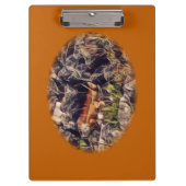 オレンジグアナアート クリップボード (正面)