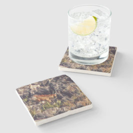 オレンジグアナアート ストーンコースター