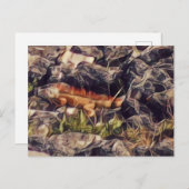 オレンジグアナアート ポストカード (正面/裏面)