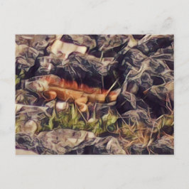 オレンジグアナアート ポストカード