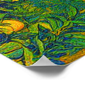 オレンジグローブススノーキャップ山バルディ1900年代初期 ポスター (角)