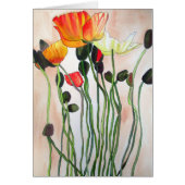 オレンジケシによっては水彩画の芸術が開花します (正面)