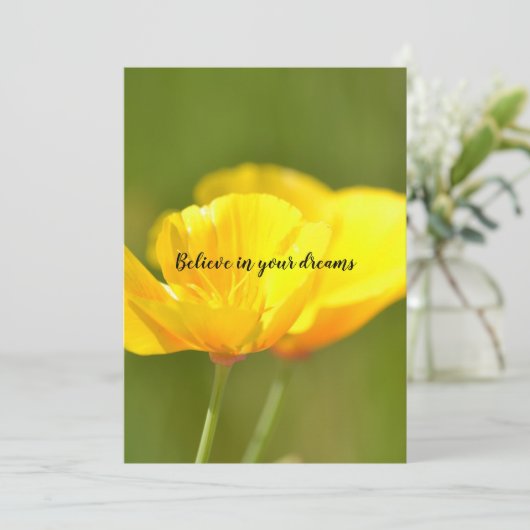 オレンジケシ カード (スタンド正面)