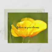 オレンジケシ ポストカード (正面/裏面)