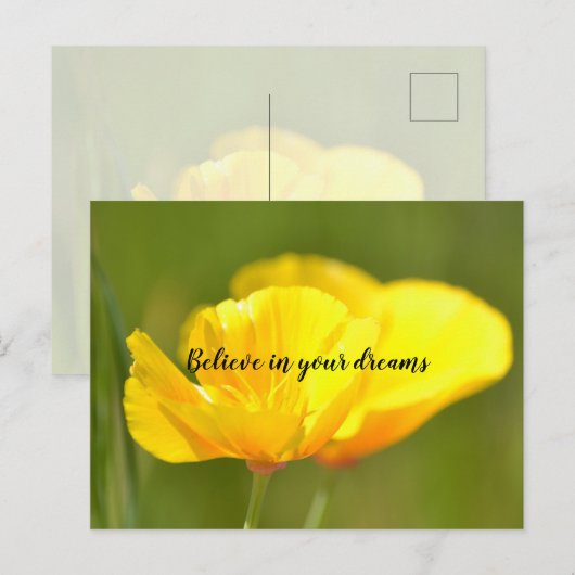 オレンジケシ ポストカード (正面/裏面)