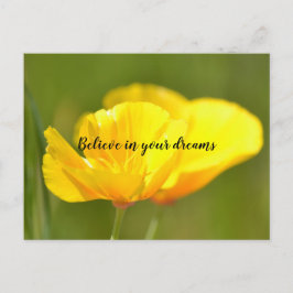 オレンジケシ ポストカード