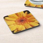 オレンジゲルベラコースター コースター (左側)