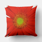 オレンジゲルベラデイジーフラワー クッション (裏面)