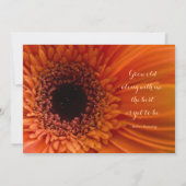 オレンジゲルベラデイジーマクロ結婚式招待状 招待状 (裏面)