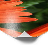 オレンジゲルベラデイジー(3 / 3) フォトプリント            (角)