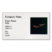 オレンジコイと金ゴールドコイ マグネット名刺 (正面)