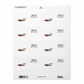 オレンジコイと金ゴールドコイ ラベル (フルシート)