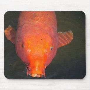 オレンジコイ魚はがき マウスパッド