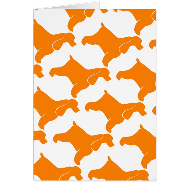 オレンジコッカースパニエル犬 (正面)