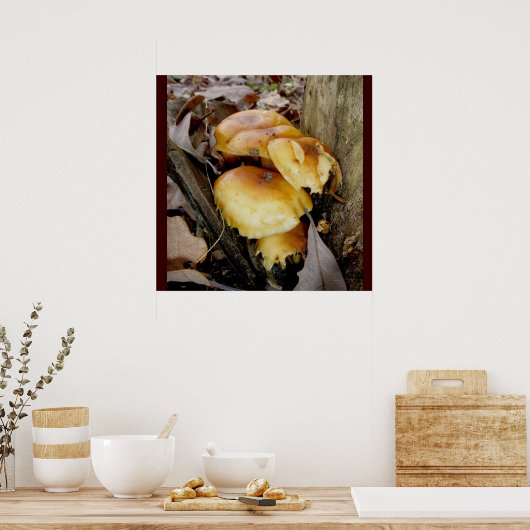 オレンジコロニーマッシュルームのポスター ポスター (キッチン)