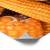 オレンジコーンCob：収穫農業背景 ポスター (角)